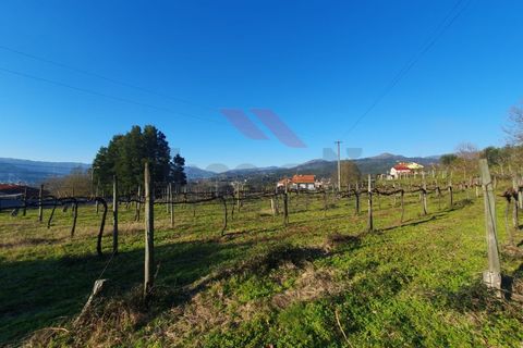 Terra a Azere, Viana do Castelo, Azere - € 45.000 | Ref: AVV-2507-NS-1225 - foto 4