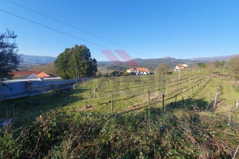 Terra a Azere, Viana do Castelo, Azere - € 70.000 | Ref: AVV-2505-NS-1125 - foto 3