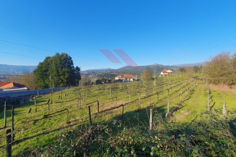 Terra a Azere, Viana do Castelo, Azere - € 70.000 | Ref: AVV-2505-NS-1125 - foto 5
