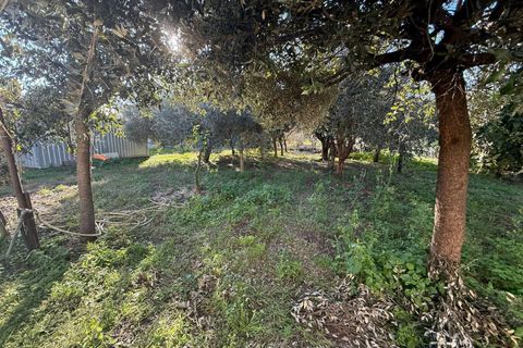 Villa i Eboli, Salerno, Eboli - € 250.000 | Ref: 201 - foto 10