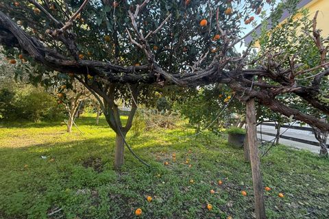 Villa i Eboli, Salerno, Eboli - € 250.000 | Ref: 201 - foto 11