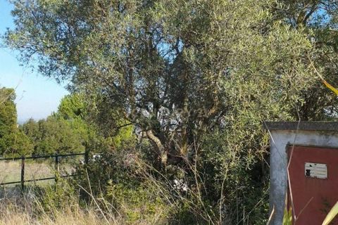 Helårsgrund i Alenquer, Lisbon, Alenquer - € 395.000 | Ref: C0539-00012 - foto 4