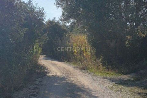 Helårsgrund i Alenquer, Lisbon, Alenquer - € 395.000 | Ref: C0539-00012 - foto 7