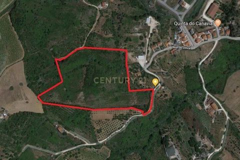 Helårsgrund i Alenquer, Lisbon, Alenquer - € 395.000 | Ref: C0539-00012 - foto 11