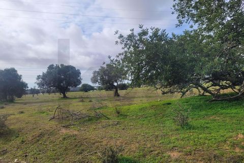 Helårsgrund i Algoz, Faro, Algoz - € 75.000 | Ref: KWPT-025352 - foto 2