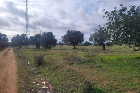 Helårsgrund i Algoz, Faro, Algoz - € 75.000 | Ref: KWPT-025352 - foto 3