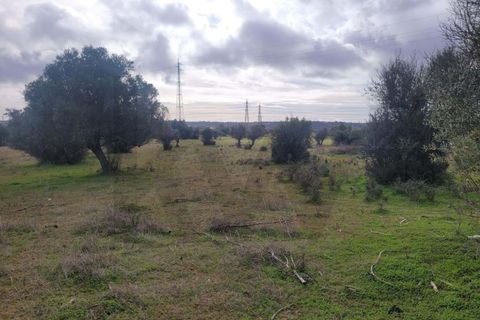 Helårsgrund i Algoz, Faro, Algoz - € 75.000 | Ref: KWPT-025352 - foto 4
