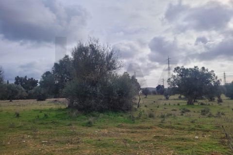 Helårsgrund i Algoz, Faro, Algoz - € 75.000 | Ref: KWPT-025352 - foto 5