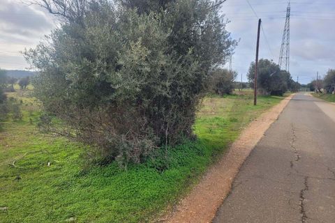 Helårsgrund i Algoz, Faro, Algoz - € 75.000 | Ref: KWPT-025352 - foto 6