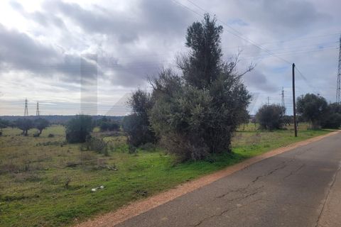 Helårsgrund i Algoz, Faro, Algoz - € 75.000 | Ref: KWPT-025352 - foto 7