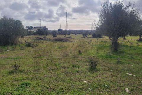 Helårsgrund i Algoz, Faro, Algoz - € 75.000 | Ref: KWPT-025352 - foto 9