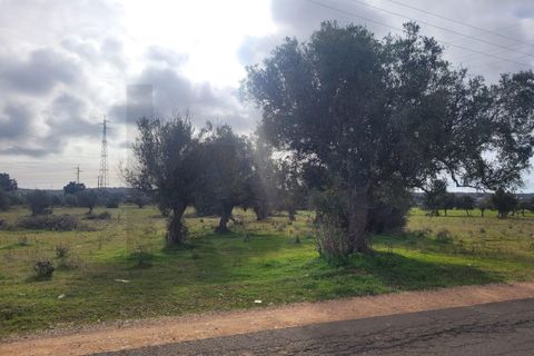 Helårsgrund i Algoz, Faro, Algoz - € 75.000 | Ref: KWPT-025352 - foto 10