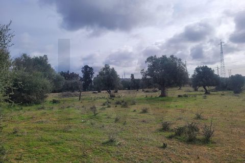 Helårsgrund i Algoz, Faro, Algoz - € 75.000 | Ref: KWPT-025352 - foto 11
