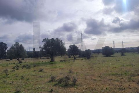 Helårsgrund i Algoz, Faro, Algoz - € 75.000 | Ref: KWPT-025352 - foto 12