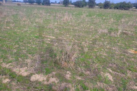 Helårsgrund i Algoz, Faro, Algoz - € 23.000 | Ref: KWPT-025346 - foto 3