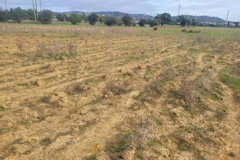 Helårsgrund i Algoz, Faro, Algoz - € 23.000 | Ref: KWPT-025346 - foto 5