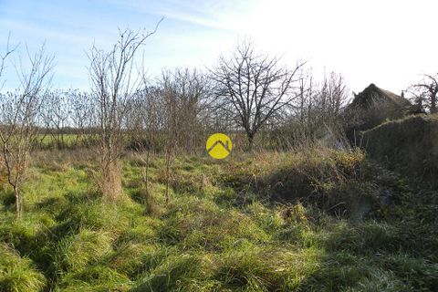 Villa i Léré, Cher, Léré - € 41.500 | Ref: 18MS110789 - foto 8