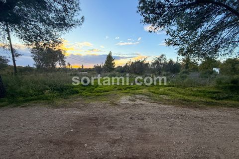Helårsgrund i Silves, Faro, Silves - € 260.000 | Ref: Sort24451 - foto 3