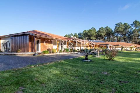 Erhvervsejendom i Casteljaloux, Lot-et-Garonne, Casteljaloux - € 2.340.000 | Ref: JV1109 - foto 2