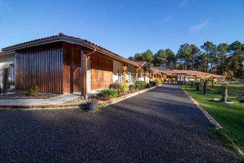 Erhvervsejendom i Casteljaloux, Lot-et-Garonne, Casteljaloux - € 2.340.000 | Ref: JV1109 - foto 10