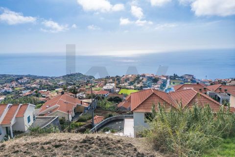 Helårsgrund i Ponta do Sol, Madeira, Ponta do Sol - € 105.000 | Ref: KWPT-024062 - foto 3