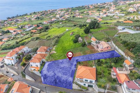 Helårsgrund i Ponta do Sol, Madeira, Ponta do Sol - € 105.000 | Ref: KWPT-024062 - foto 12