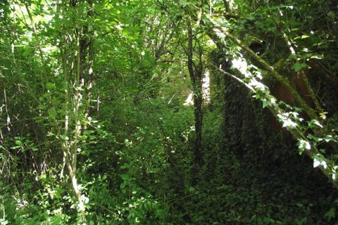 Villa i Aunac, Charente, Aunac - € 14.000 | Ref: r7399 - foto 9
