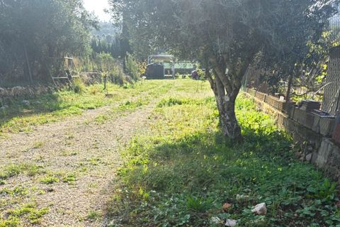 Helårsgrund i La Sella, Alicante - foto 4