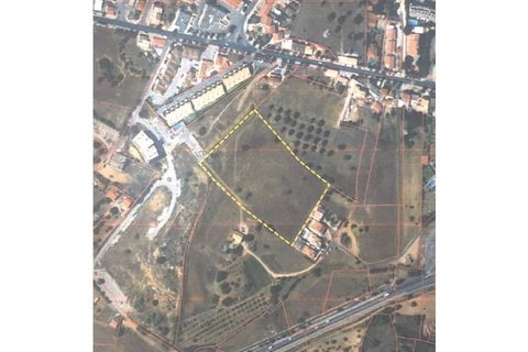 Helårsgrund i Albufeira, Faro, Albufeira - € 2.000.000 | Ref: TERPN014 - foto 11
