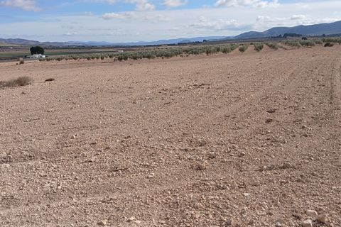 Terra a Yecla, Murcia, Yecla - € 216.460 | Ref: ETAC033 - foto 13