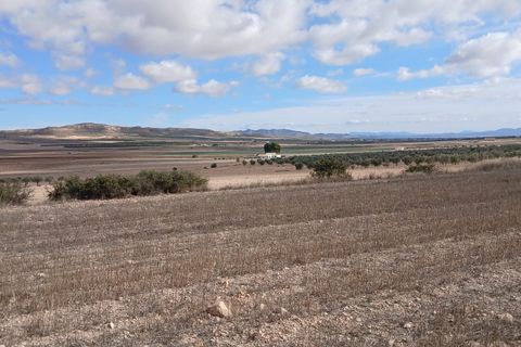 Terra a Yecla, Murcia, Yecla - € 216.460 | Ref: ETAC033 - foto 16