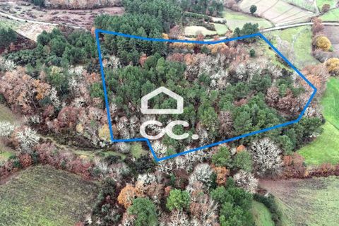 Helårsgrund i Chaves, Vila Real, Chaves - € 46.000 | Ref: 322/T/02414 - foto 3