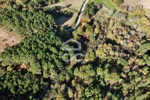 Helårsgrund i Chaves, Vila Real, Chaves - € 46.000 | Ref: 322/T/02414 - foto 6