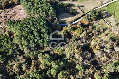 Helårsgrund i Chaves, Vila Real, Chaves - € 46.000 | Ref: 322/T/02414 - foto 8