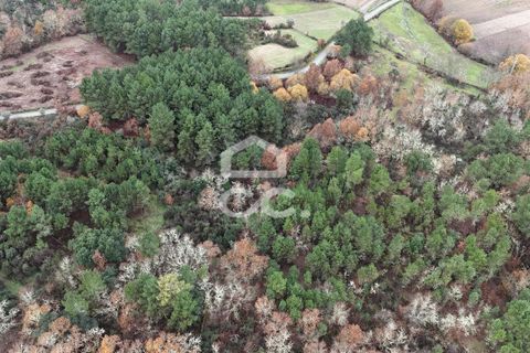 Helårsgrund i Chaves, Vila Real, Chaves - € 46.000 | Ref: 322/T/02414 - foto 10