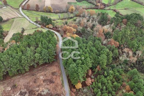 Helårsgrund i Chaves, Vila Real, Chaves - € 46.000 | Ref: 322/T/02414 - foto 11