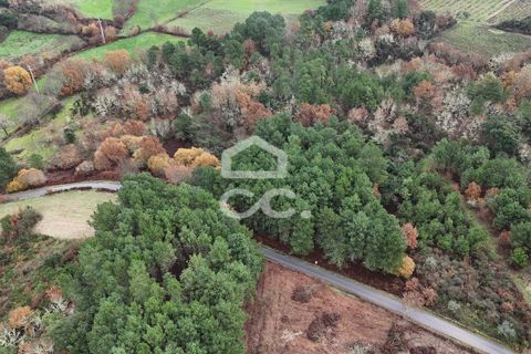 Helårsgrund i Chaves, Vila Real, Chaves - € 46.000 | Ref: 322/T/02414 - foto 12