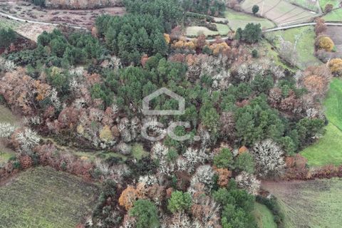 Helårsgrund i Chaves, Vila Real, Chaves - € 46.000 | Ref: 322/T/02414 - foto 13