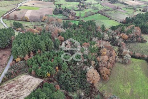 Helårsgrund i Chaves, Vila Real, Chaves - € 46.000 | Ref: 322/T/02414 - foto 15