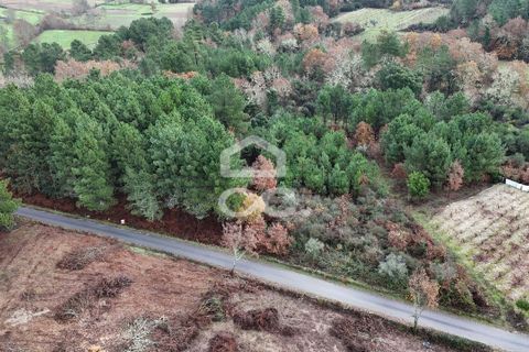 Helårsgrund i Chaves, Vila Real, Chaves - € 46.000 | Ref: 322/T/02414 - foto 16