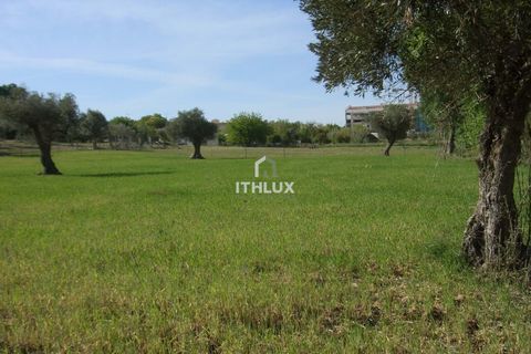 Farm hus i Elvas, Portalegre, Elvas - € 200.000 | Ref: ITH3952 - foto 8