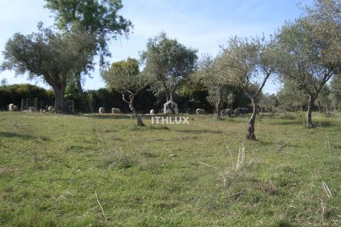 Farm hus i Elvas, Portalegre, Elvas - € 200.000 | Ref: ITH3952 - foto 13