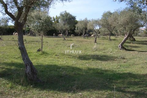 Farm hus i Elvas, Portalegre, Elvas - € 200.000 | Ref: ITH3952 - foto 14