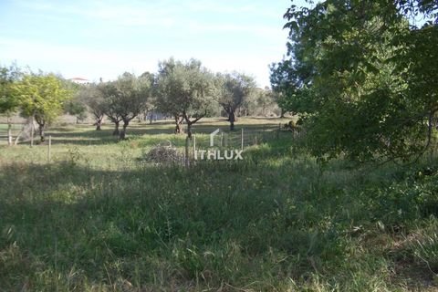 Farm hus i Elvas, Portalegre, Elvas - € 200.000 | Ref: ITH3952 - foto 19