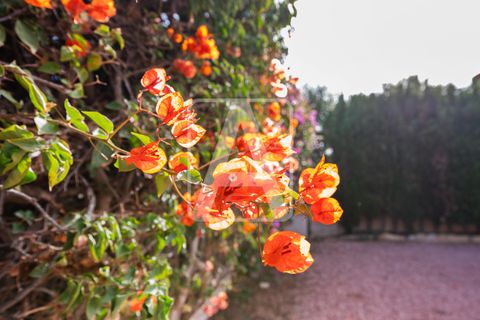 Villa i Calpe, Alicante, Calpe - € 429.000 | Ref: VCA0781 - foto 23