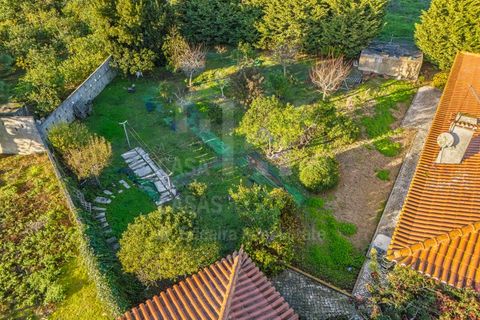 Villa a Mafra, Lisbon, Mafra - € 760.000 | Ref: V25193 - foto 5