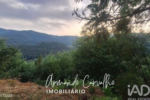 Terra a Cinfaes, Viseu, Cinfaes - € 110.000 | Ref: 771209 - foto 3
