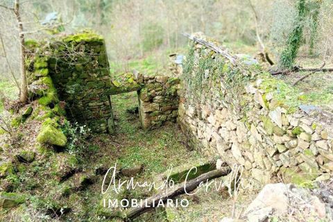 Terra a Cinfaes, Viseu, Cinfaes - € 110.000 | Ref: 771209 - foto 4