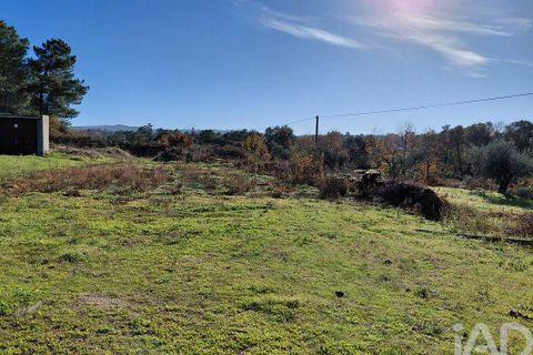 Farm i Belmonte, Castelo Branco, Belmonte - € 95.000 | Ref: 771091 - foto 2