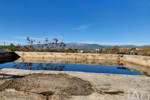 Farm i Belmonte, Castelo Branco, Belmonte - € 95.000 | Ref: 771091 - foto 3